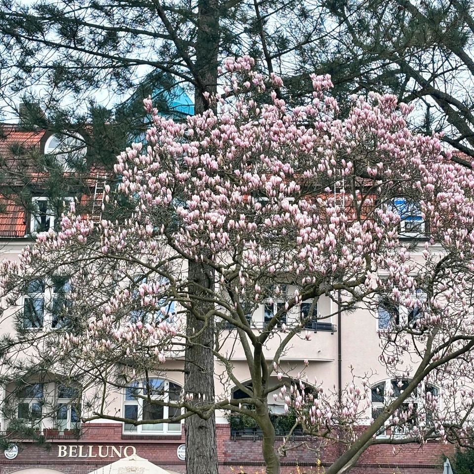 3-Zimmer-Wohnung suchen in Berlin