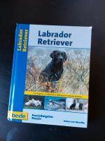 Ratgeber "Labrador Retriever", Buch Niedersachsen - Ihlow Vorschau