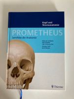 Kopf- und Neuroanatomie Prometheus Anatomieatlas Altona - Hamburg Bahrenfeld Vorschau