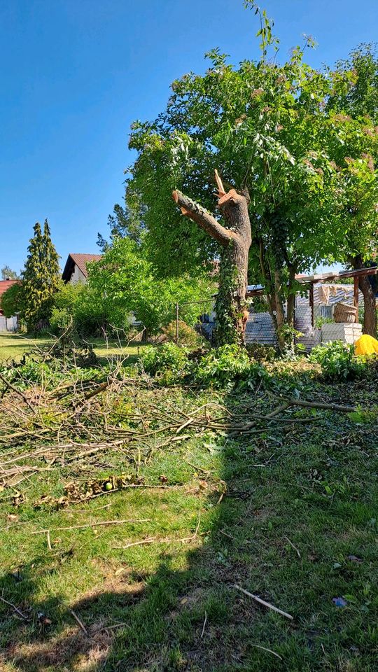 Gàrtner  Gartenpflege in Ingolstadt