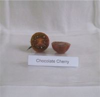 10 Tomatensamen „ Chocolate Cherry „ (Ernte 2022) Hessen - Ortenberg Vorschau