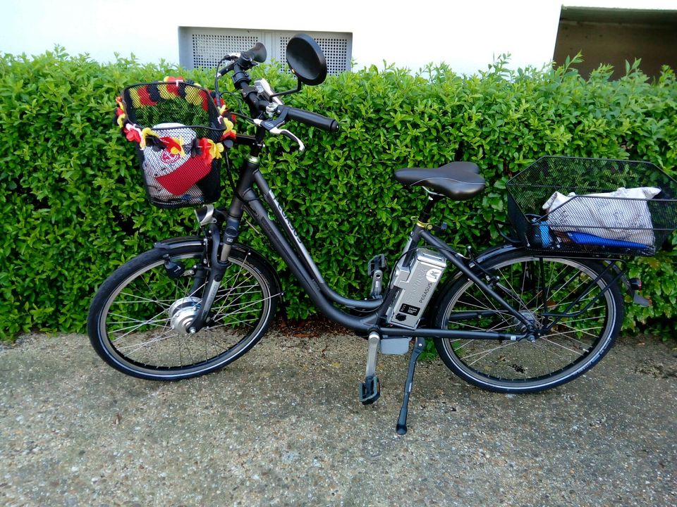 pegasus city e bike in Weilerswist