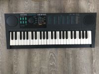 Keyboard Bontempi System 5 KS 5540 Herzogtum Lauenburg - Linau Vorschau