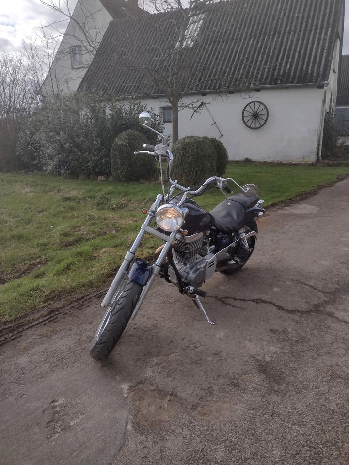 Suzuki LS 650 in Melle