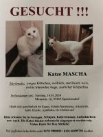 Katze vermisst/gesucht Bayern - Speichersdorf Vorschau