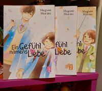 Manga Ein Gefühl names Liebe 1-3 Stuttgart - Münster Vorschau