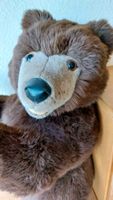 Steiff Teddy Jungbär gross 66 cm Versand möglich Duisburg - Duisburg-Mitte Vorschau