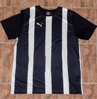Sport Shirt Herren T-Shirt Puma Niedersachsen - Seelze Vorschau