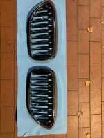 BMW 5er G30 G31 Nieren Frontgrill Rheinland-Pfalz - Queidersbach Vorschau