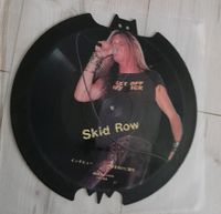 Skid Row Vinyl 1989 Schallplatte Picture LP Limited Edition Niedersachsen - Salzgitter Vorschau