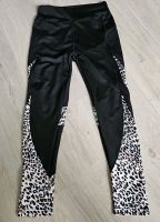 Shein Leggings High waist Leopard Miss Lolita H&M Shape Fitness M Sachsen-Anhalt - Zeitz Vorschau