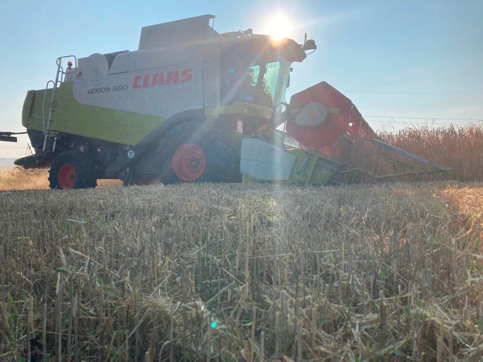 Aushilfskraft Landwirt LKW Fahrer Erntehelfer Frühjahr 2024 in Nordstemmen