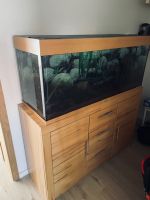 240 l Aquarium mit Unterschrank Buche Sachsen-Anhalt - Burg Vorschau