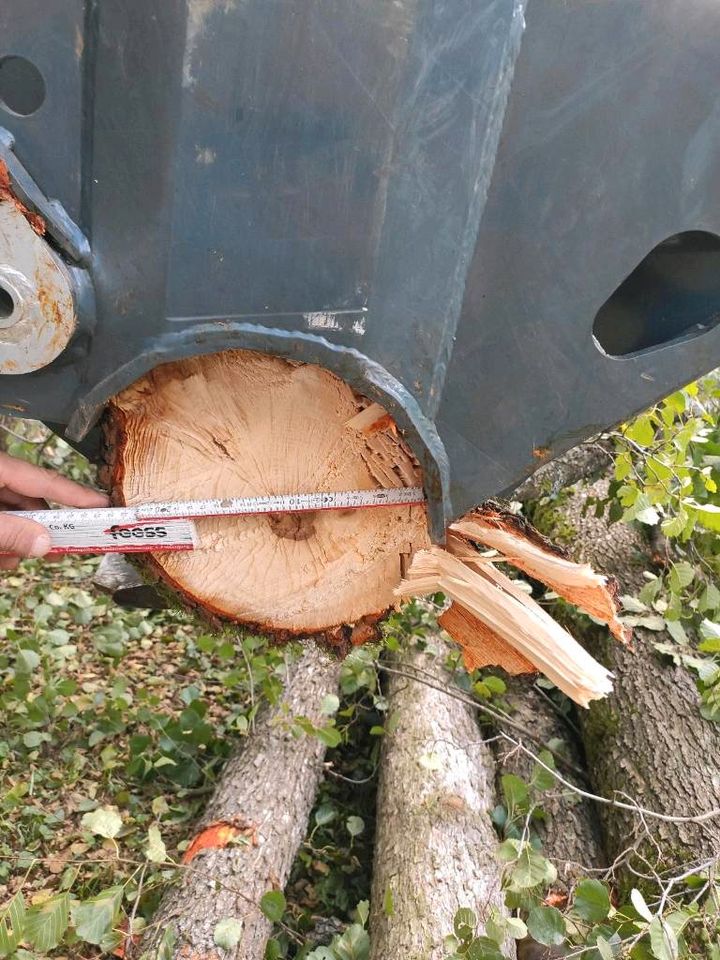 Magni Fällkran Kinshofer Baumschere uniforest Sortiergreifer in Nürnberg (Mittelfr)