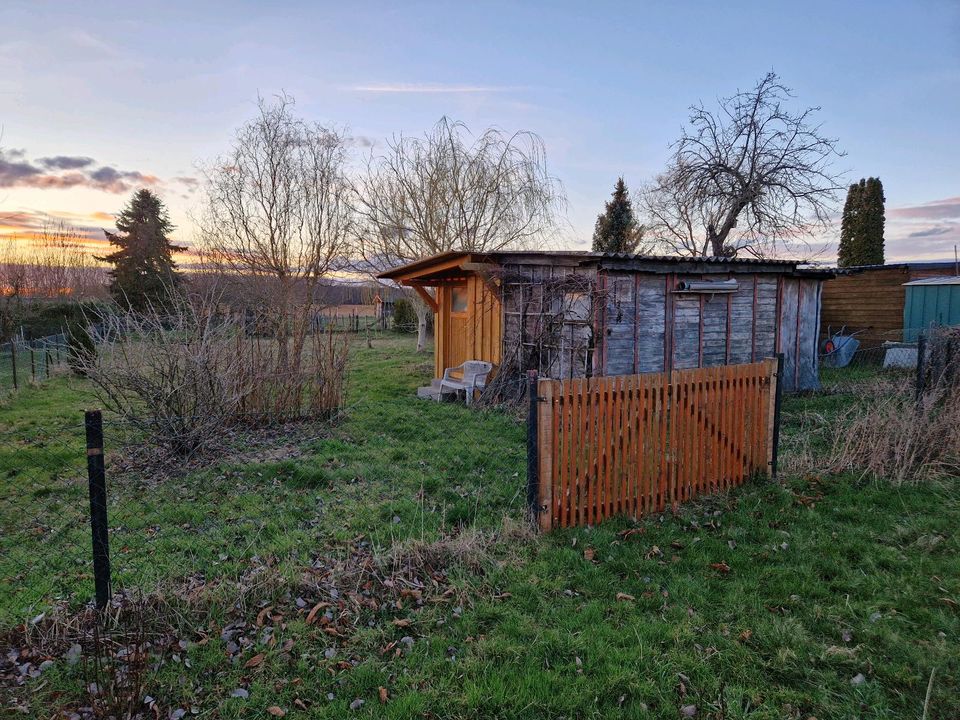 Garten abzugeben in Grimma