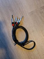 Chinch 2x auf 2 x 6,3 mm Mono Klinke 1m Kabel MC Audio N Nordrhein-Westfalen - Mönchengladbach Vorschau