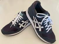 Asics Sneakers Schuhe Turnschuhe Sportschuhe Gr. 39,5 blau Nordrhein-Westfalen - Pulheim Vorschau