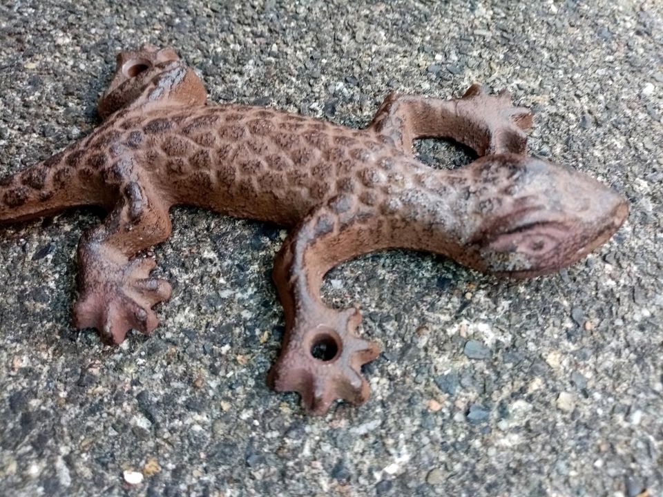 alter Wand-Haken-Gecko-Gusseisern in Lüneburg