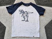 T-Shirt Gr 98 Dino von Ernstings  ⭐️ Duisburg - Duisburg-Süd Vorschau