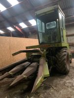 Claas SF 80 Häcksler Schleswig-Holstein - Satrup Vorschau