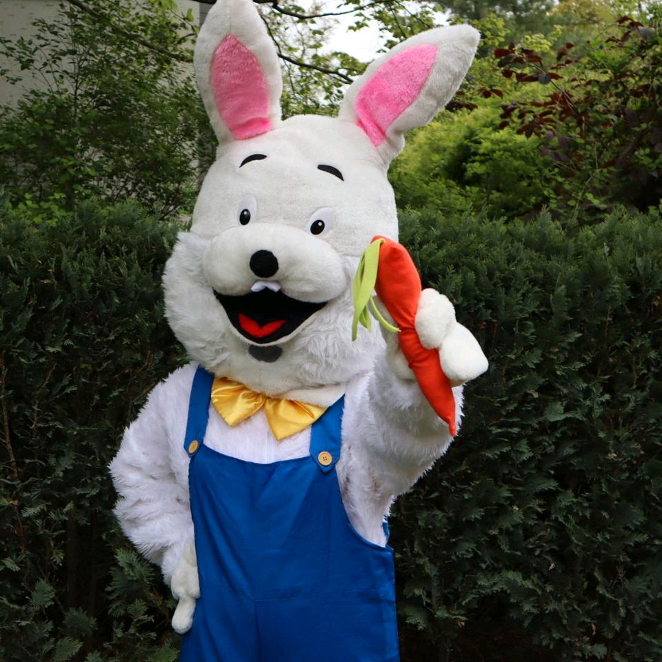 Hase Maskottchen Kostüm Geburtstag Kita Fasching Osterhase in Berlin