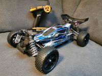 Rc Buggy speed racer 1:10 Nordrhein-Westfalen - Herne Vorschau