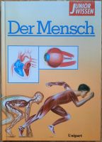 Buch "Der Mensch" Junior Wissen Sachsen - Großenhain Vorschau