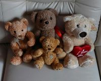 Teddys zu verkaufen Rheinland-Pfalz - Monsheim Vorschau