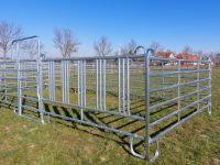 Laufbox Panels Sicherheitsfressgitter Pferdebox Gitter Panelbox Brandenburg - Treuenbrietzen Vorschau