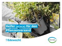 ☀️ Helfer [m|w|d] für den Pflanzenversand ☀️ Niedersachsen - Edewecht Vorschau