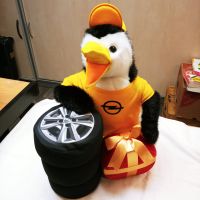 OPEL Service-Pinguin 2018 Nürnberg (Mittelfr) - Südstadt Vorschau