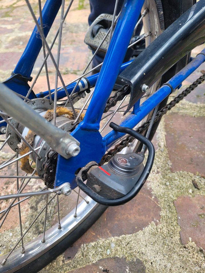Doppeltandem Fahrrad in Crinitz