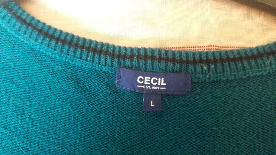 Cecil Pullover in Größe L in einem schönen Petrolton. in Nordwalde