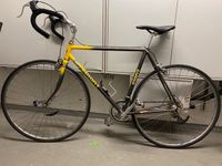 Giant Rennrad Vintage Retro Hessen - Schauenburg Vorschau