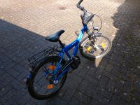 Pegasus Kinderfahrrad Nordrhein-Westfalen - Willich Vorschau