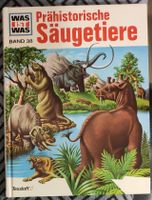 Hefte Dinosaurier & Buch Prähistorische Säugetiere  30 Jahre alt Hessen - Reiskirchen Vorschau