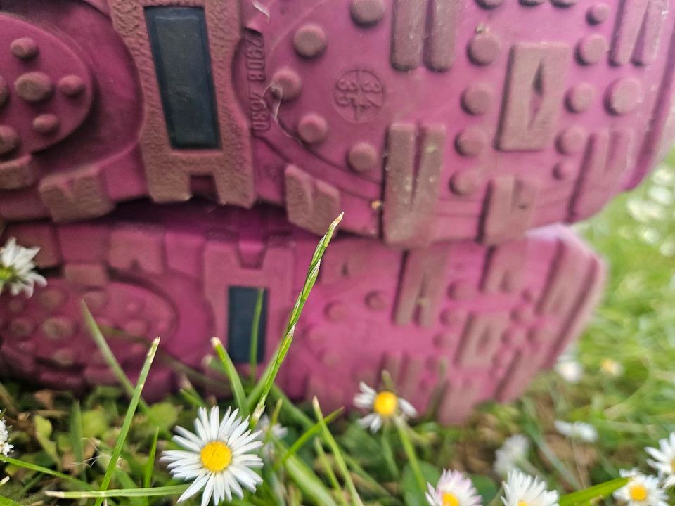 Gummistiefel, rosa/blau, größe 34/35 in Magdeburg