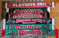 AEV Fanschal's Bayern - Hiltenfingen Vorschau