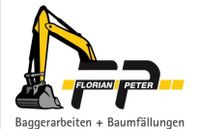 Baggerarbeiten und Baumfällungen Hessen - Schwalmtal Vorschau