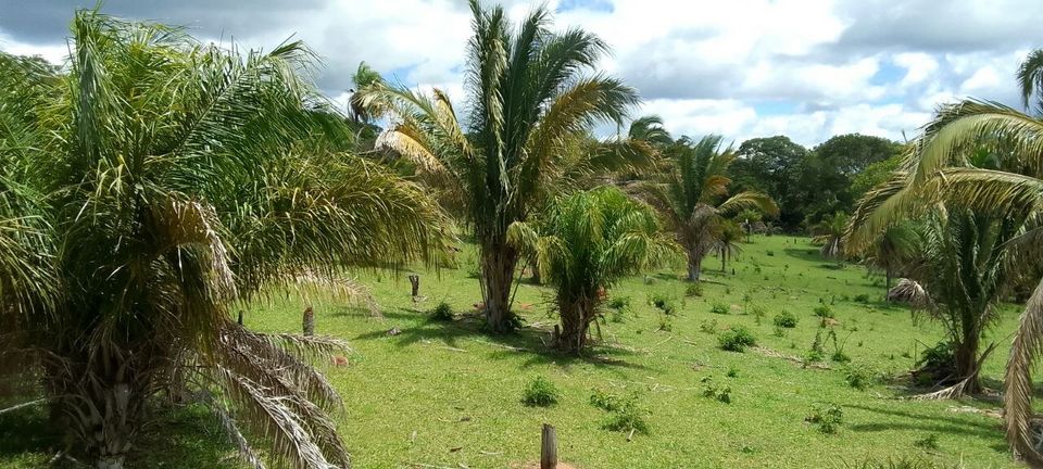 Bolivien Land zu Verkaufen Auswandern in Schönhorst