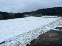 Ackerland in Neukirchen (Sulzbach-Rosenberg) Bayern - Neukirchen bei Sulzbach Rosenberg Vorschau