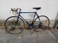 Eddy Merckx Fahrrad sehr leicht lila Herrenrennrad Rennrad Bayern - Schneckenlohe Vorschau