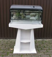 Neues Terrarium mit Standfuß und Abdeckung Nordrhein-Westfalen - Castrop-Rauxel Vorschau