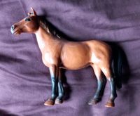 Trakehnerstute Schleich von 2001 Mecklenburg-Vorpommern - Steinhagen (Mecklenburg) Vorschau