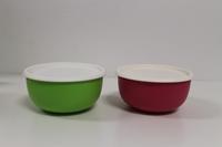 2 x Tupperware Schüssel mit Deckel pink grün 550ml ergonomica Bayern - Markt Schwaben Vorschau