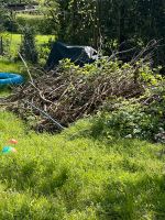 Holz zu verschenken Kreis Pinneberg - Rellingen Vorschau