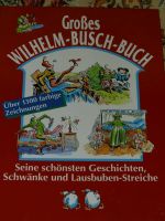 Großes Wilhelm Busch Buch Bilderbuch Max Moritz Neuwertig Brandenburg - Forst (Lausitz) Vorschau