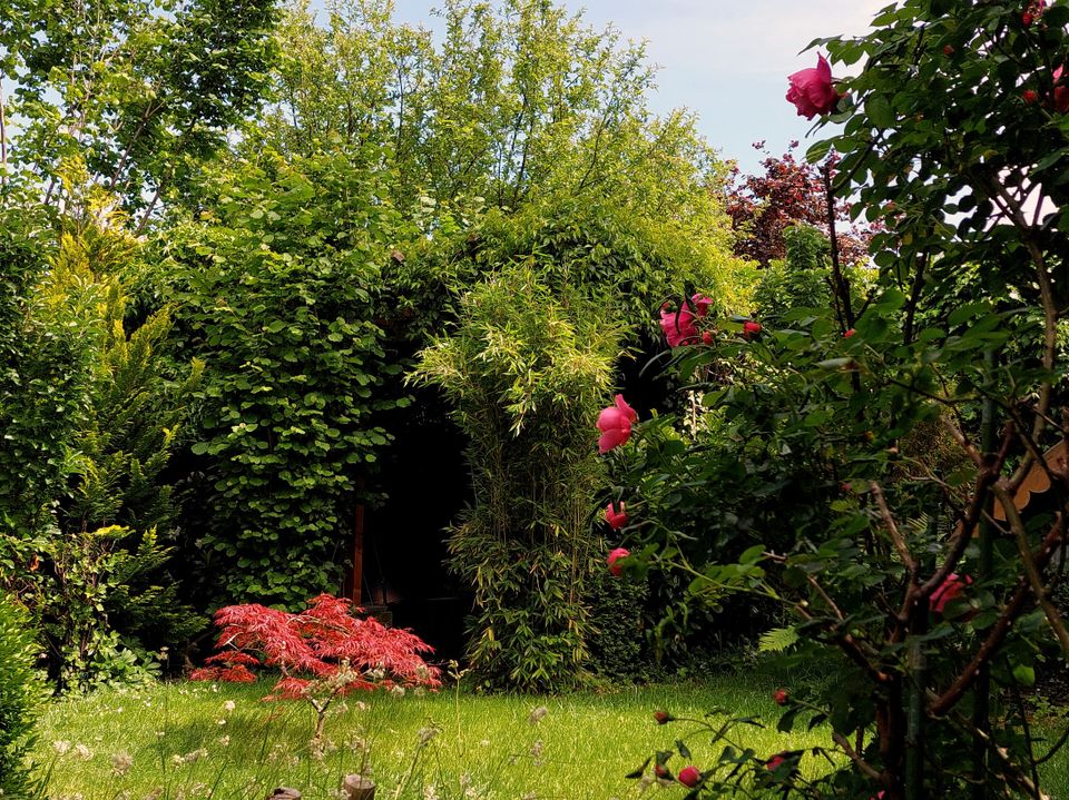 Moosach - Gepflegte Doppelhaushälfte mit traumhaftem Südgarten in absoluter Ruhelage in München