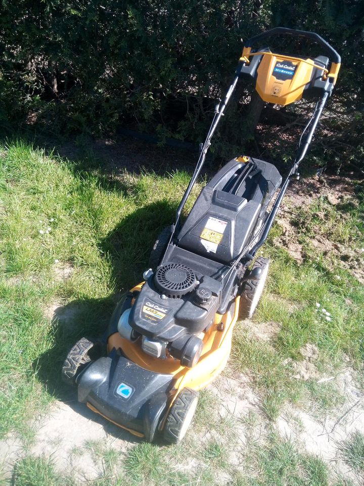 Rasenmäher Cub Cadet in Seelitz