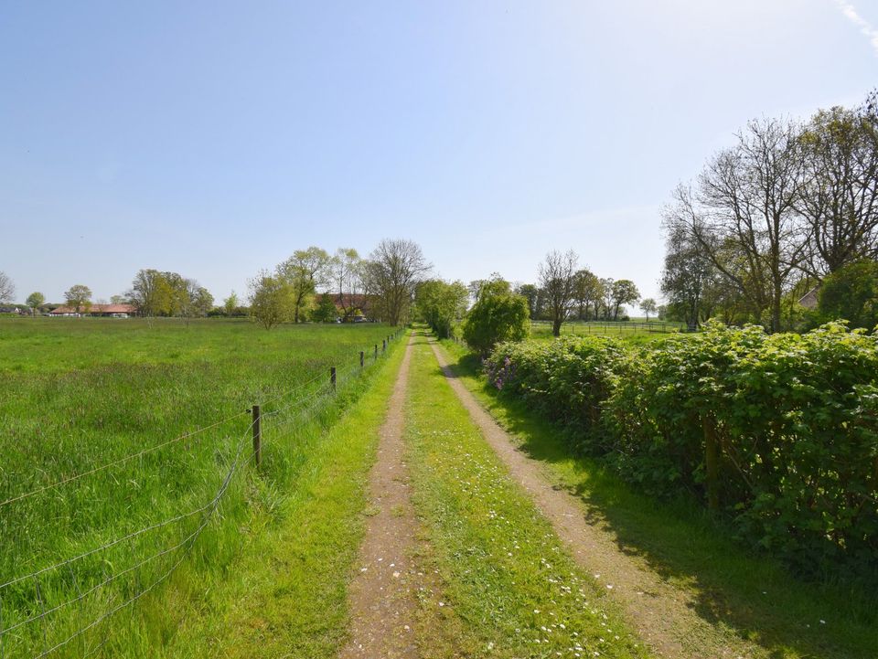 Historischer Landsitz unter Reet am Jadebusen / Nordsee in Stadland